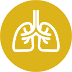 Yellow circle with a white lung symbol representing breathwork, conscious breathing, and respiratory awareness. Visual element used in holistic healing branding.