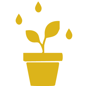 Yellow icon of a potted plant being watered, with droplets falling onto the leaves, symbolizing growth and nourishment.